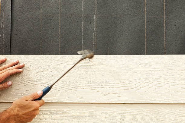 Affordable Siding Repair and Maintenance Services in Marienville, PA